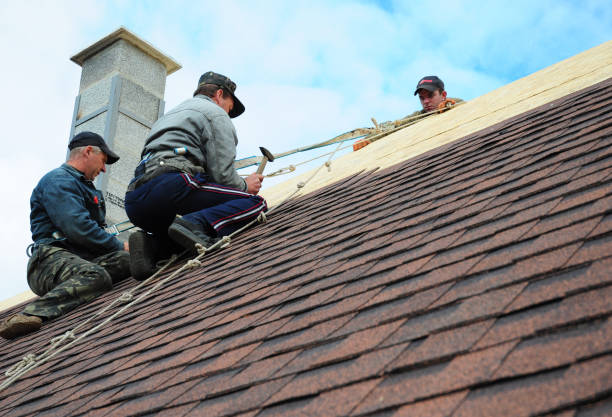 Best Best Roofing Contractors  in Maryvle, IL